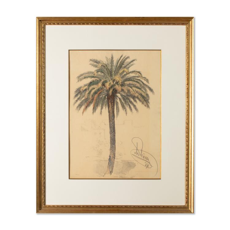 Bild 1 zu Objekt, Studie einer Palme, 1870, Alois Sch&ouml;nn, K-17 82