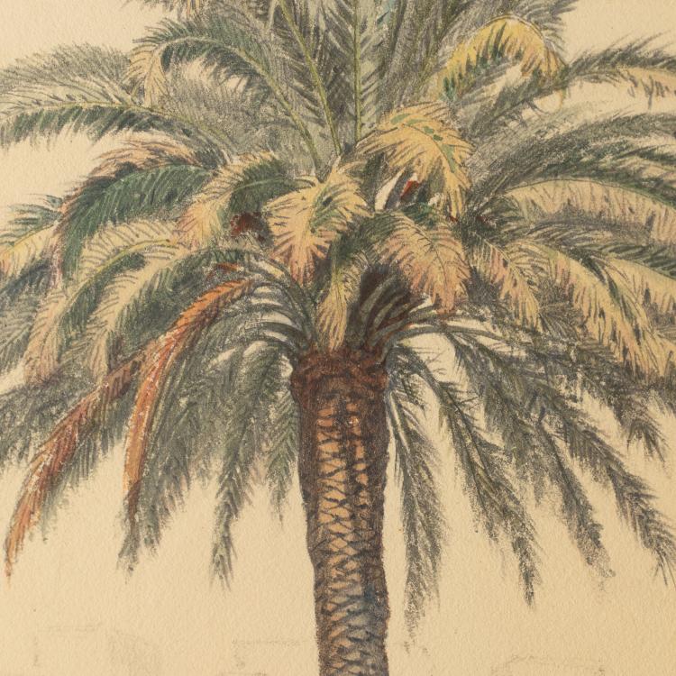 Bild 3 zu Objekt, Studie einer Palme, 1870, Alois Sch&ouml;nn, K-17 82