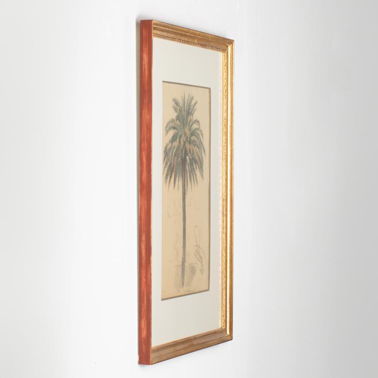 Bild 4 zu Objekt, Studie einer Palme, 1870, Alois Sch&ouml;nn, K-17 82