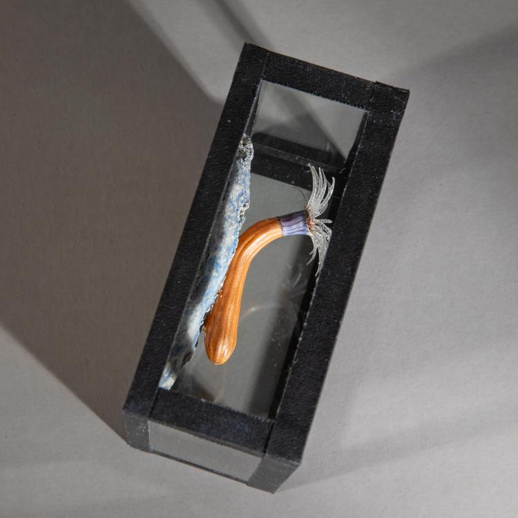 Bild 4 zu Objekt, Glasmodell einer Seeanemone, 1880er Jahre, Blaschka, K-17 39