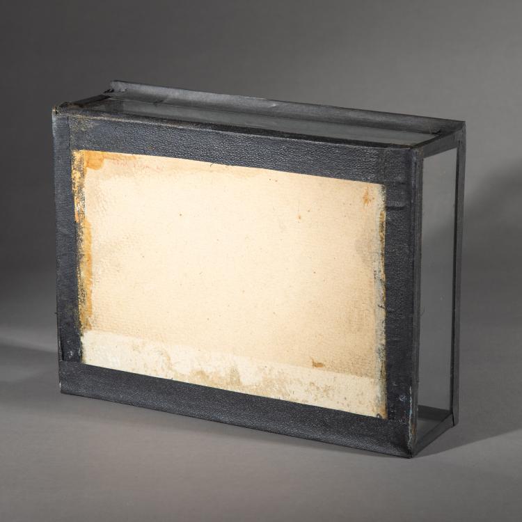 Bild 4 zu Objekt, Glasmodell der Roten Edelkoralle, 1880er Jahre, Blaschka, 