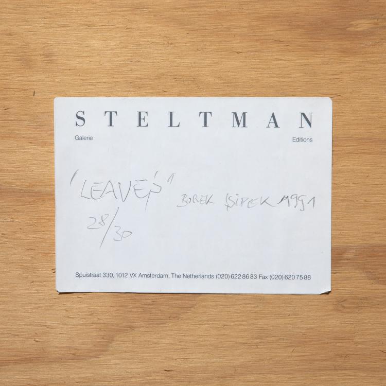 Bild 5 zu Objekt, Limitierte Vase Modell Leaves 1/30, Bořek &Scaron;&iacute;pek, Galerie Steltman, K-17 636