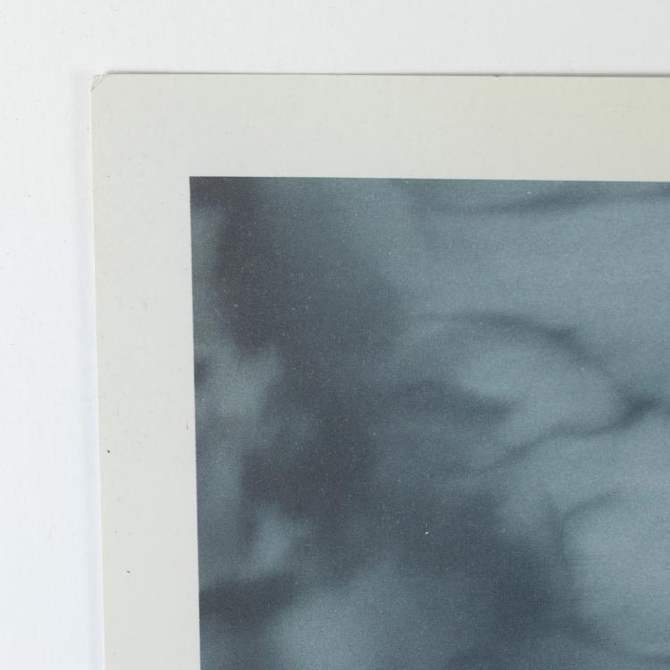 Bild 4 zu Objekt, 'Lovers in The Forest' (The Israel Museum, Jerusalem, Fall), 1995, Gerhard Richter, K-18 352